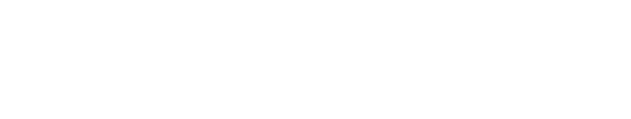 UD Media